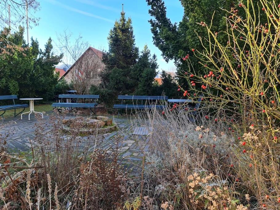 Appartements In Schoner Burganlage Jena Exteriör bild